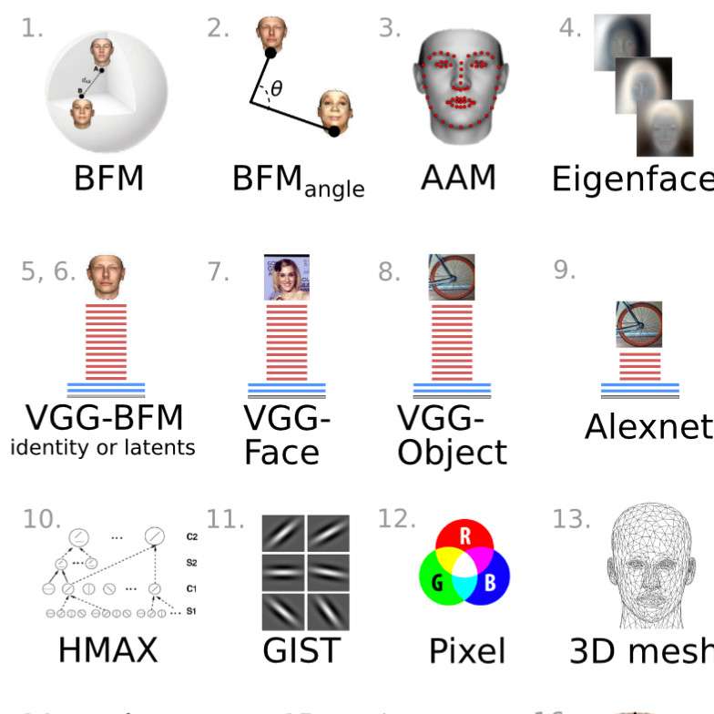 Face dissimilarity judgments are predicted by representational distance in morphable and image-computable models